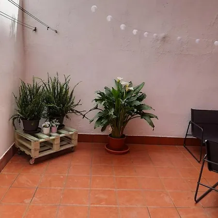 El Neru. En Zona Verde Y Junto Al Mar. Apartament *